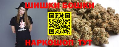 СК Волгодонск